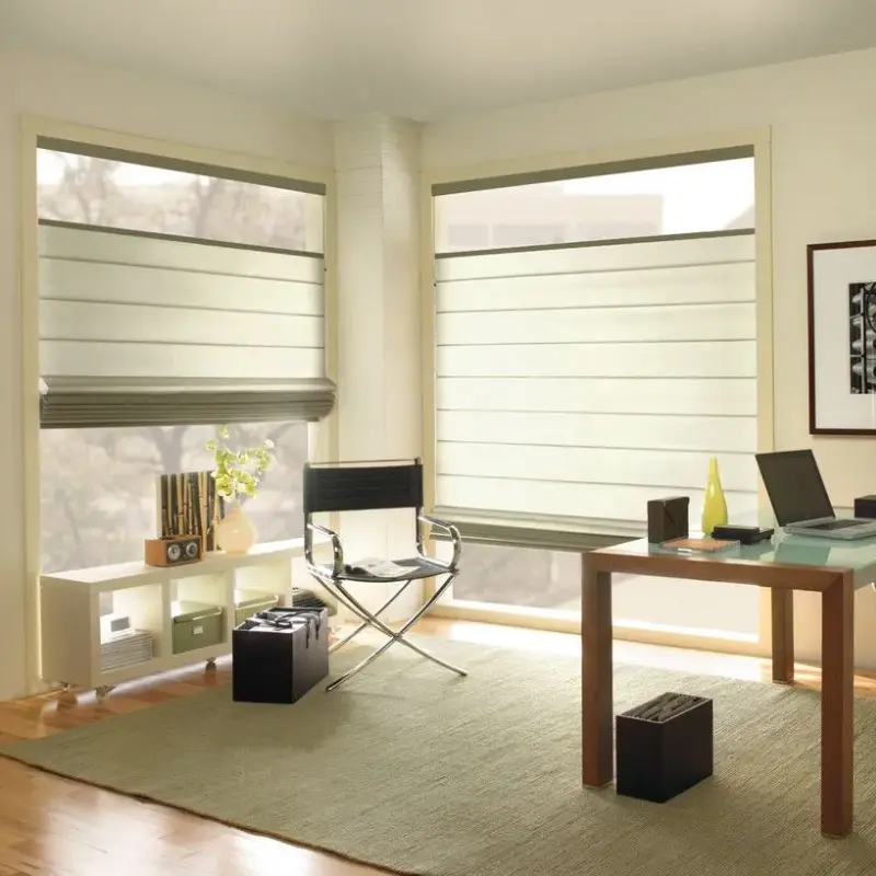 Window Blinds in Office
